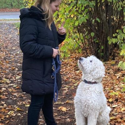 Tiergestützte Pädagogik - Spaziergang mit dem Hund: Sitz üben